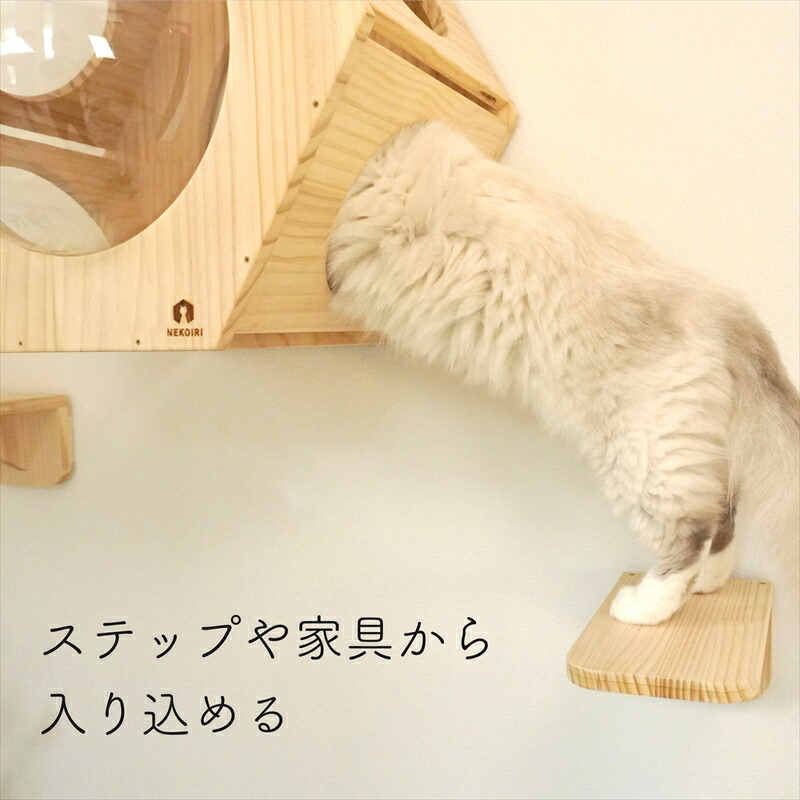 楽天市場】壁掛け キャットステップ 六角ヘキサゴン 穴あけ不要 完成品