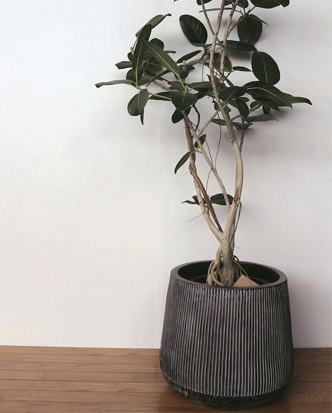 楽天市場】テラコッタ 植木鉢 大型 おしゃれ 人気 プランター おすすめ