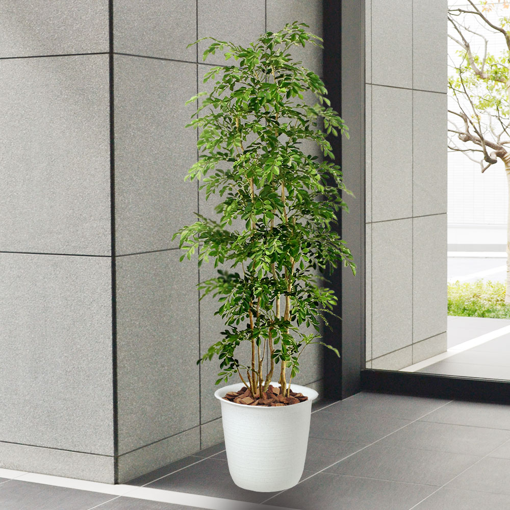 楽天市場】フェイクグリーン 大型 おしゃれ 人気 リアル おすすめ