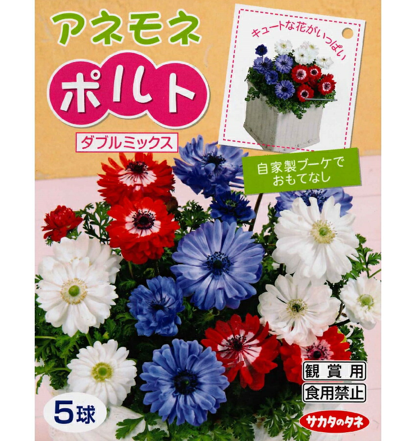 楽天市場】秋植え球根 アネモネポルト【ダブルミックス】5球入り