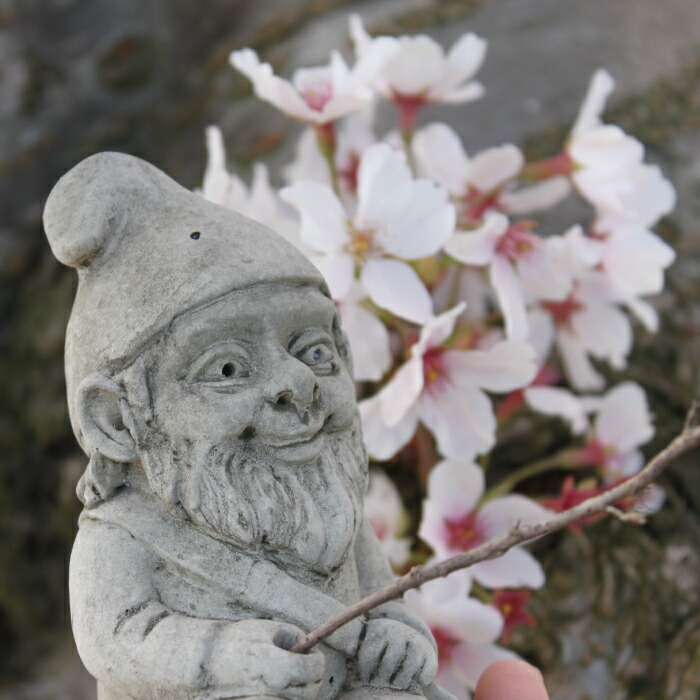 楽天市場】Gnome 「 ガーゴイル ノーム 妖精 小人3タイプ