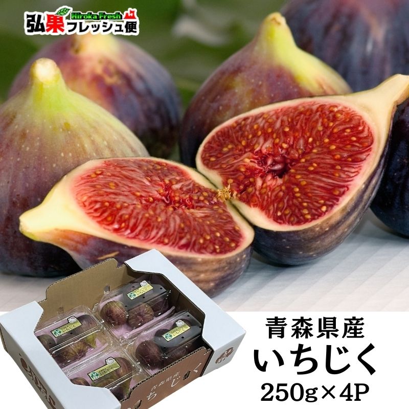 凪 様 イチジク 専用出品 凪 様 イチジク 専用出品 専用】苗 イチジク