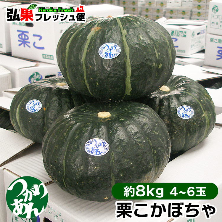 楽天市場】栗こかぼちゃ 4〜6玉入[約8kg] 送料無料 つがりあん