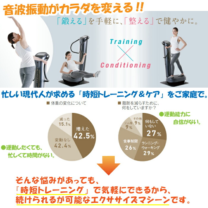 楽天市場】フジ医療器 ダイエットトレーナー コア DT-C1000 音波振動