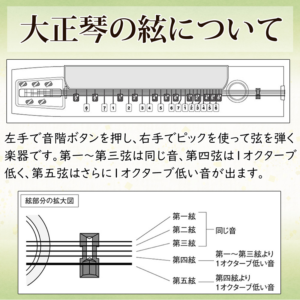 楽天市場】スズキ 大正琴 特松 高品質 和楽器 初心者向け 鈴木楽器