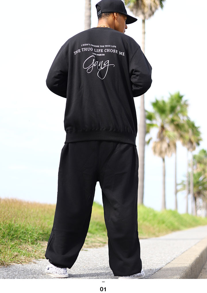 楽天市場】ACE FLAG 上下セット 長袖 ブランド スケボー メンズ 春秋冬
