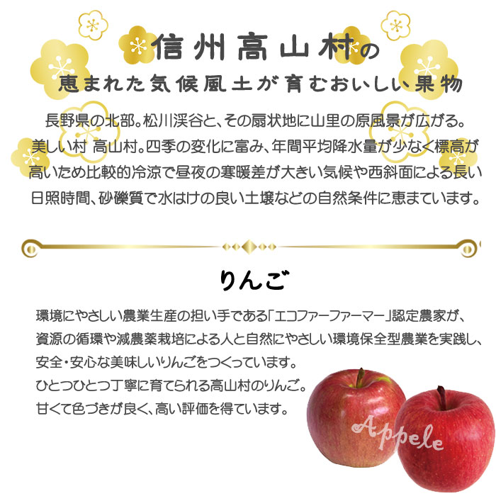 楽天市場】りんご 信州高山さわやかりんご 秀品 10〜23玉 5kg 長野県産
