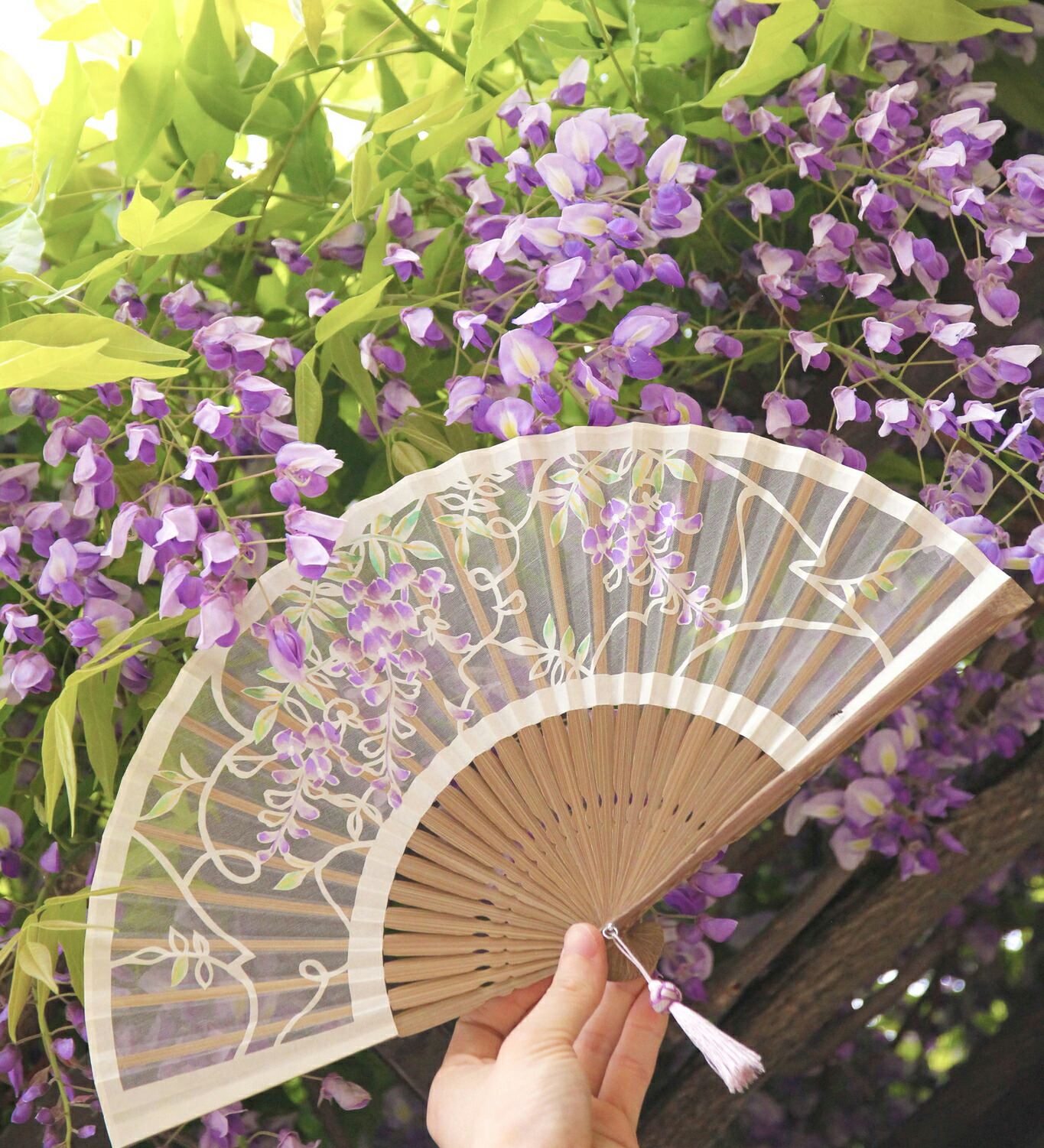 白竹堂 藤の花 扇子 専用ケース付き 白竹堂 藤の花 扇子 専用ケース