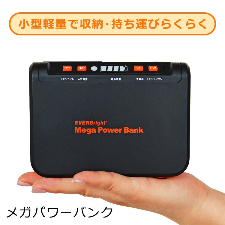 楽天市場】【ポイント10倍 & 2,000円OFFクーポン】メテックス エバー