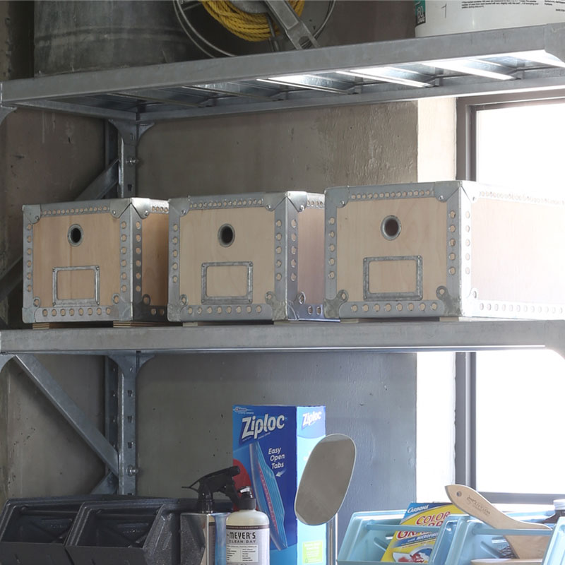 楽天市場】DULTON ダルトン 収納ボックス WOODEN BOX Lサイズ 100-226L