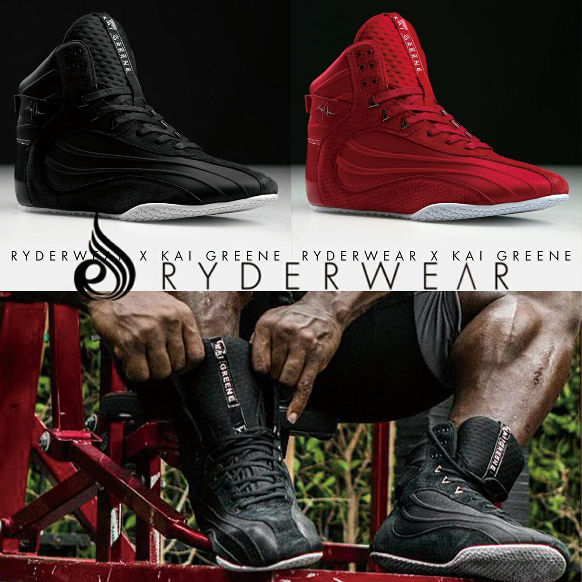 楽天市場】RYDERWEAR ライダーウェア KAI GREENE SIGNATURE D-MAK