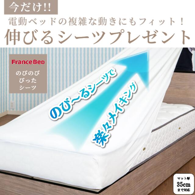 楽天市場】【シーツプレゼント】 フランスベッド レステックス-05C 3