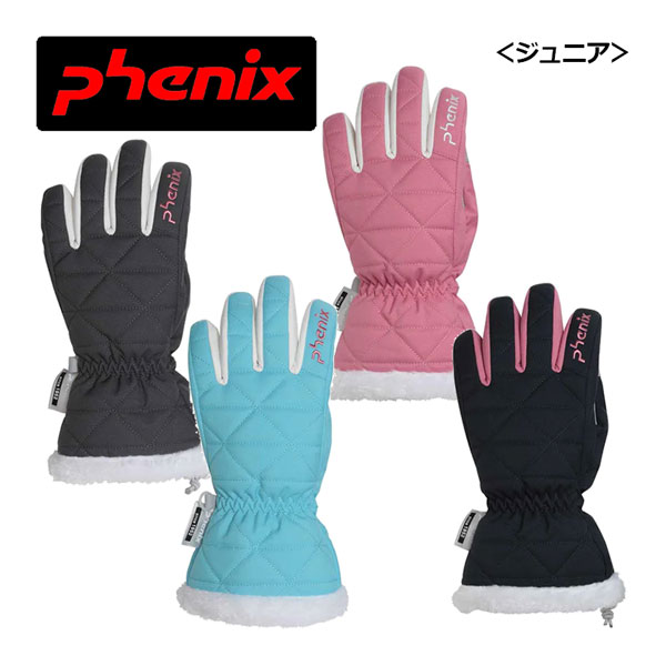 phenix スキー グローブ」の人気商品一覧 | 安い商品を通販サイトから