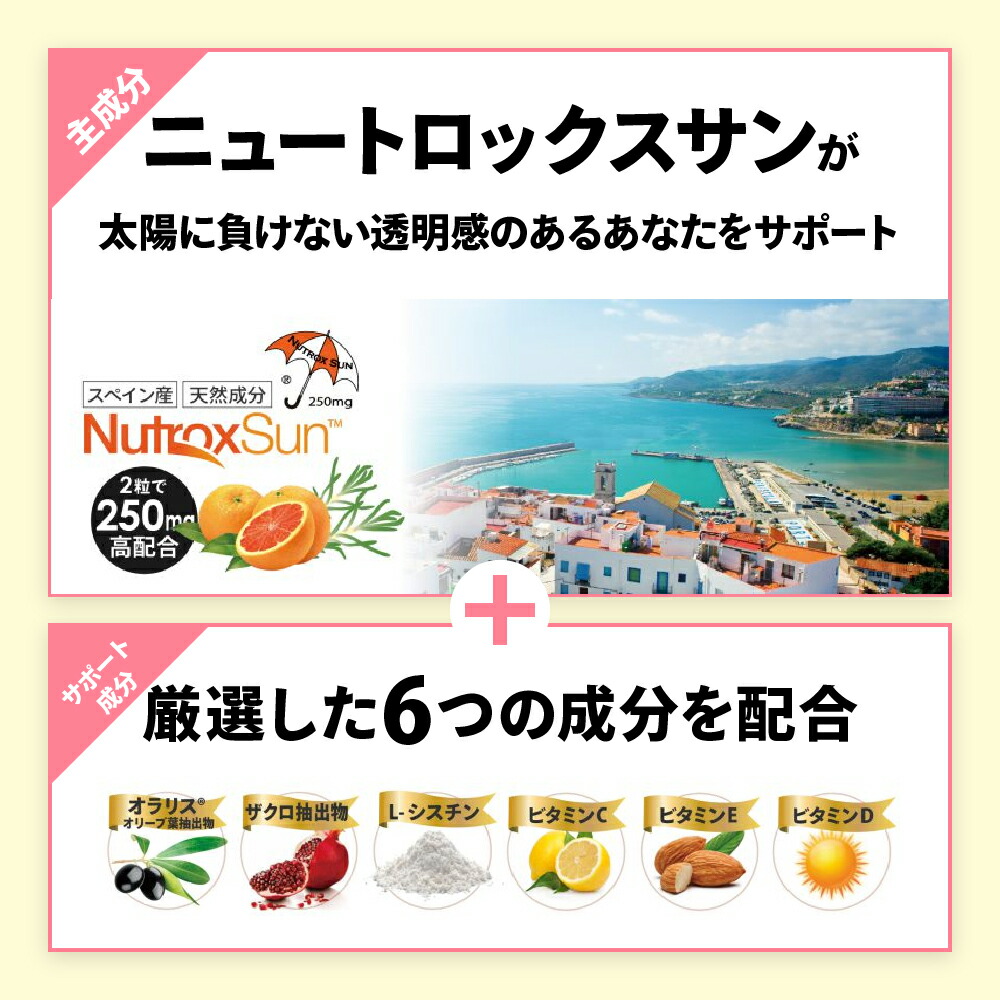 楽天市場】【正規代理店】BE-MAX the SUN(ビーマックス ザ・サン
