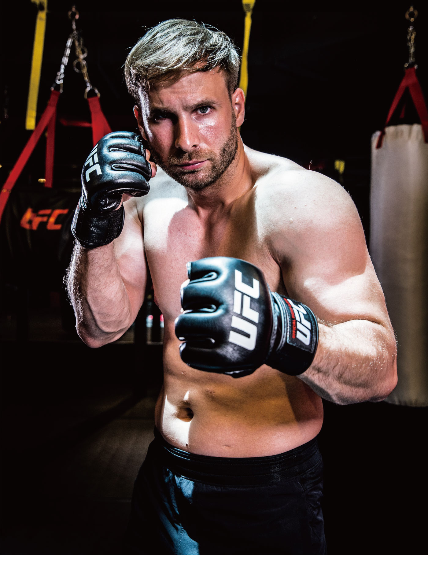 楽天市場】オフィシャルファイトグローブ オープンフィンガー UFC 総合