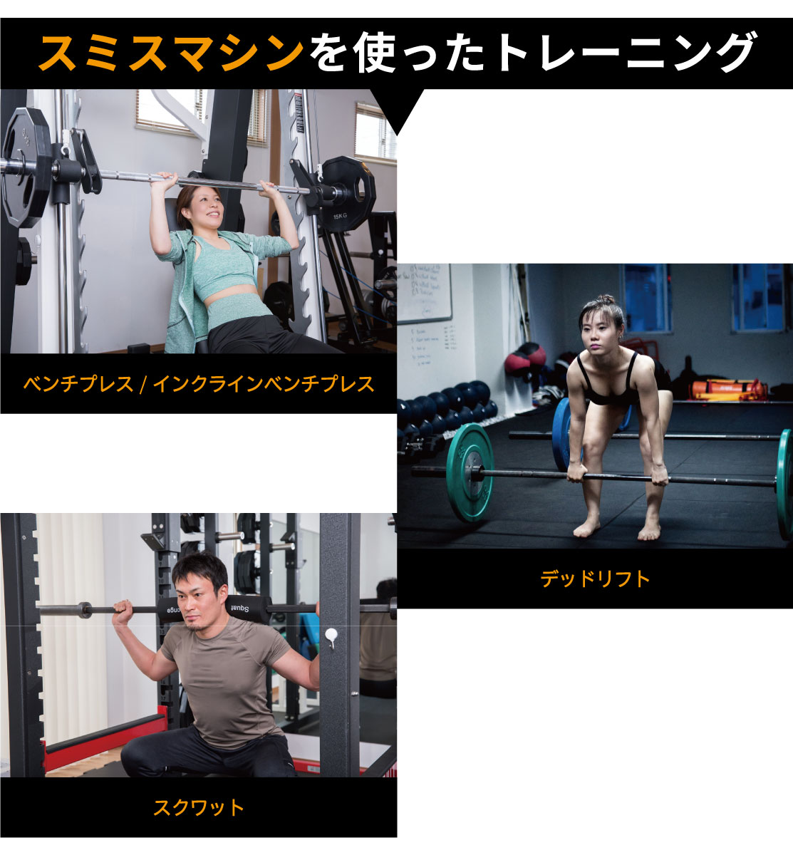 ウエイトトレーニング Mei ウエイトトレーニング Mei ウエイト