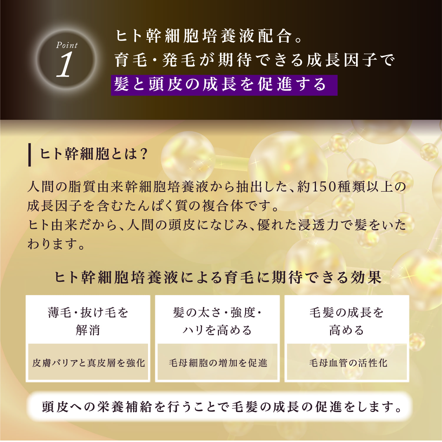 楽天市場】公式 クーポンで最大40%OFF 【 KYOGOKU シグネチャー