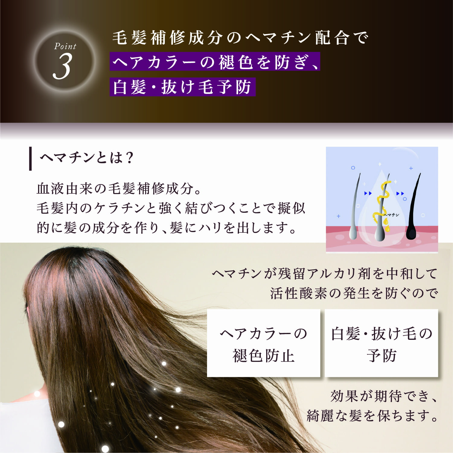 楽天市場】公式 クーポンで最大40%OFF 【 KYOGOKU シグネチャー