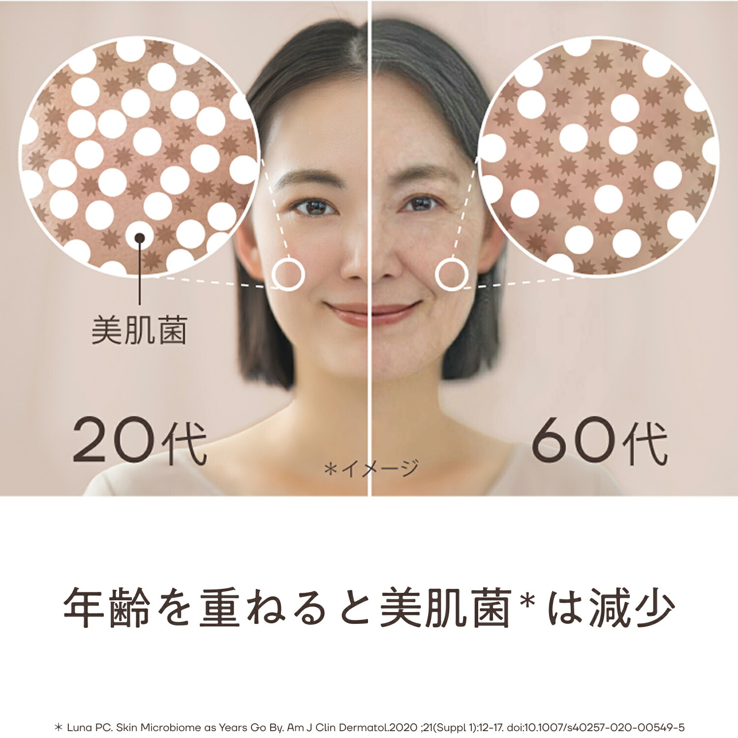 楽天市場】【クーポン利用で○○％OFF】【期間限定】 春のうるおい美肌