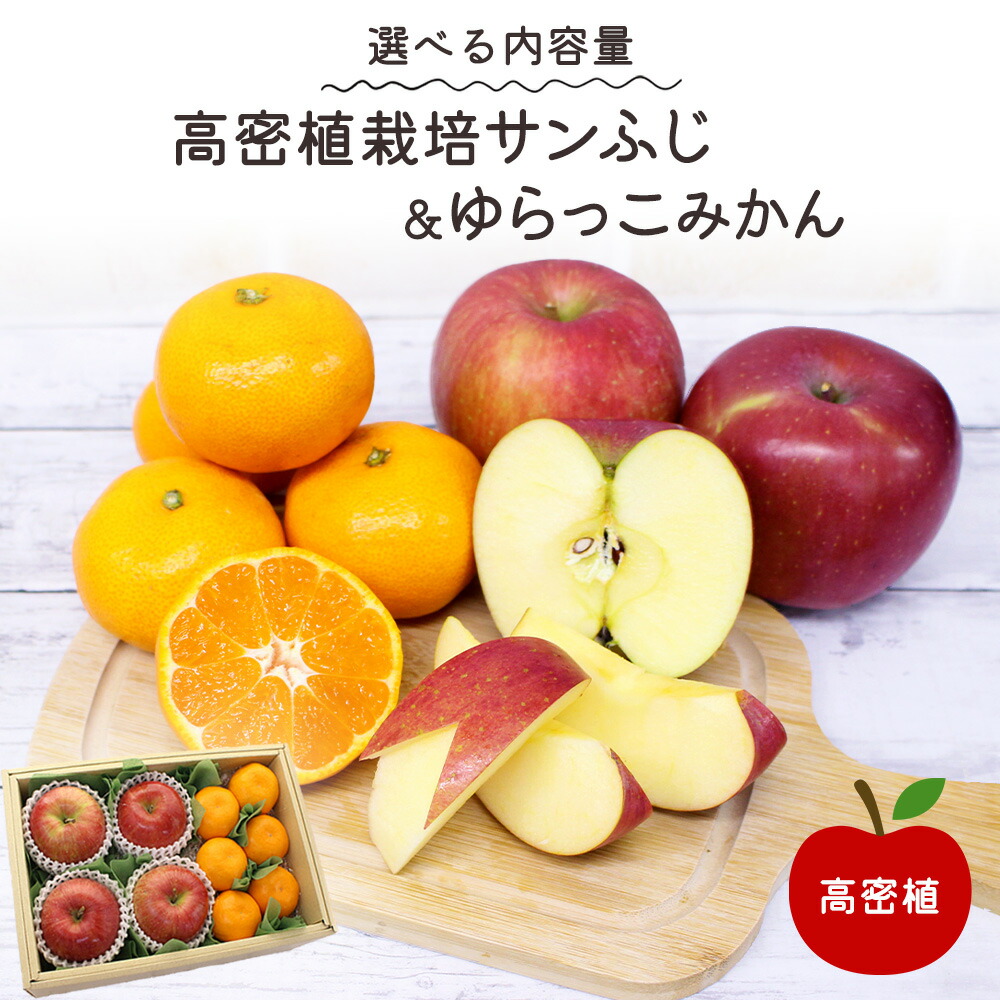 楽天市場】高密植栽培 サンふじ ふじ りんご リンゴ 林檎 ゆらっこ
