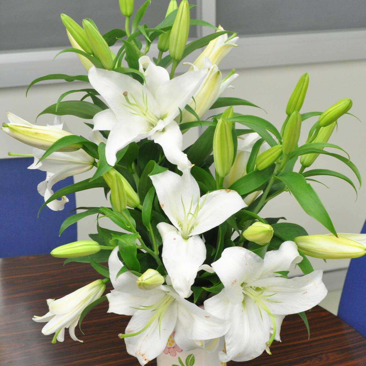 ユリ 切り花」の人気商品一覧 | 安い商品を通販サイトから探す - 価格.com