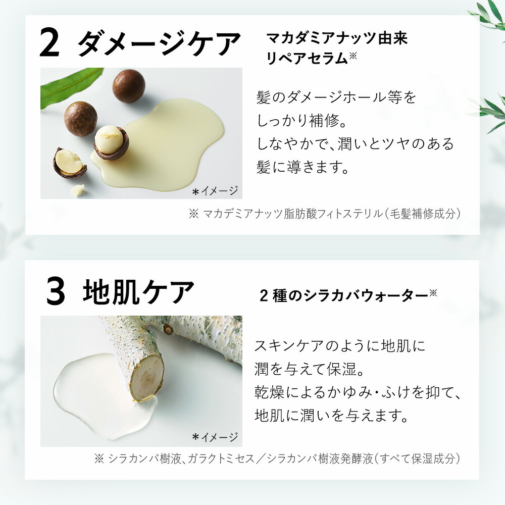 楽天市場】▽ BOTANIST ボタニスト ボタニカルトラベルセット旅行 お