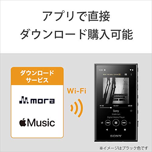 楽天市場】ソニー ウォークマン 16GB Aシリーズ NW-A105HN : ハイレゾ