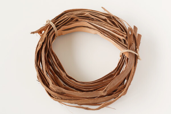 北海道産山葡萄のひご、特別限定100m