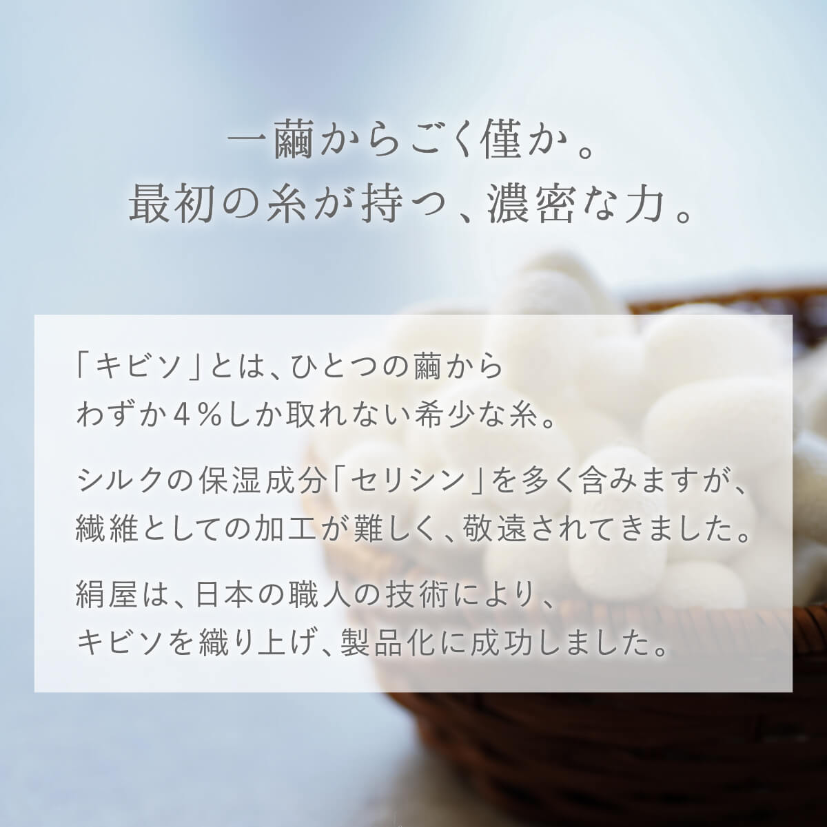 楽天市場】ボディミトン 絹屋 シルク ボディタオル キビソ