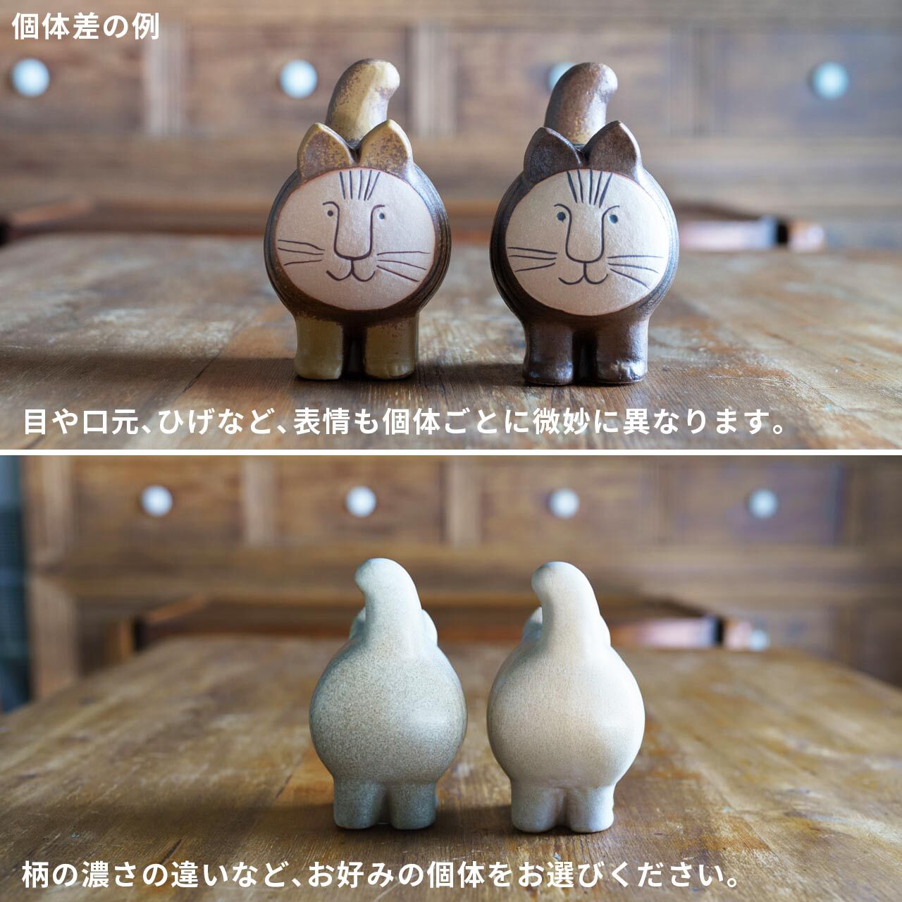 楽天市場】【個体で選べる】 ギフトボックス入り 正規品 DieciCat