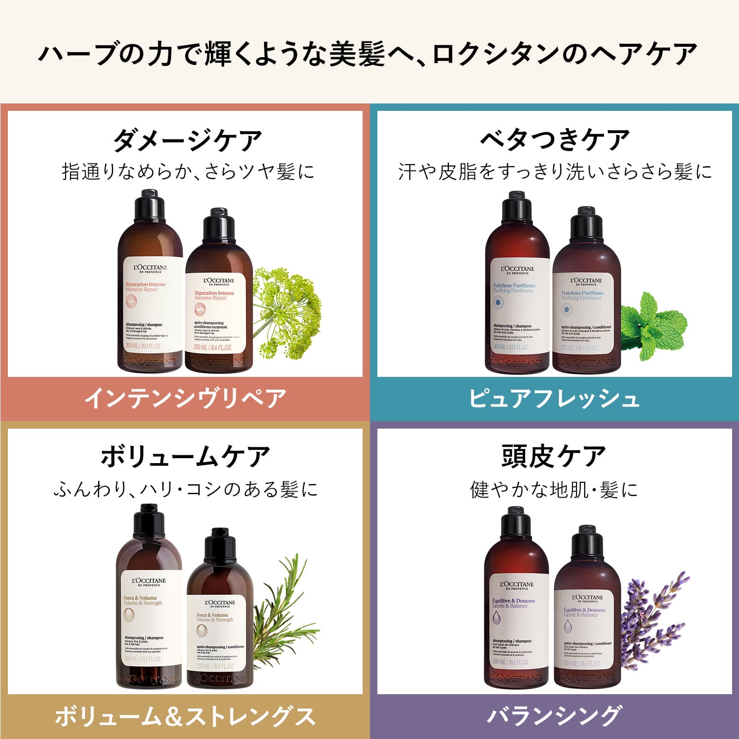 楽天市場】【公式】ロクシタン L'OCCITANE ボリューム＆ストレングス