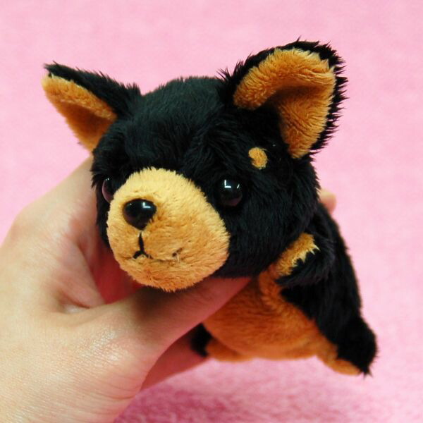 楽天市場】Little Beans チワワ BLACK サイズ:12cm ふわふわ もちもち