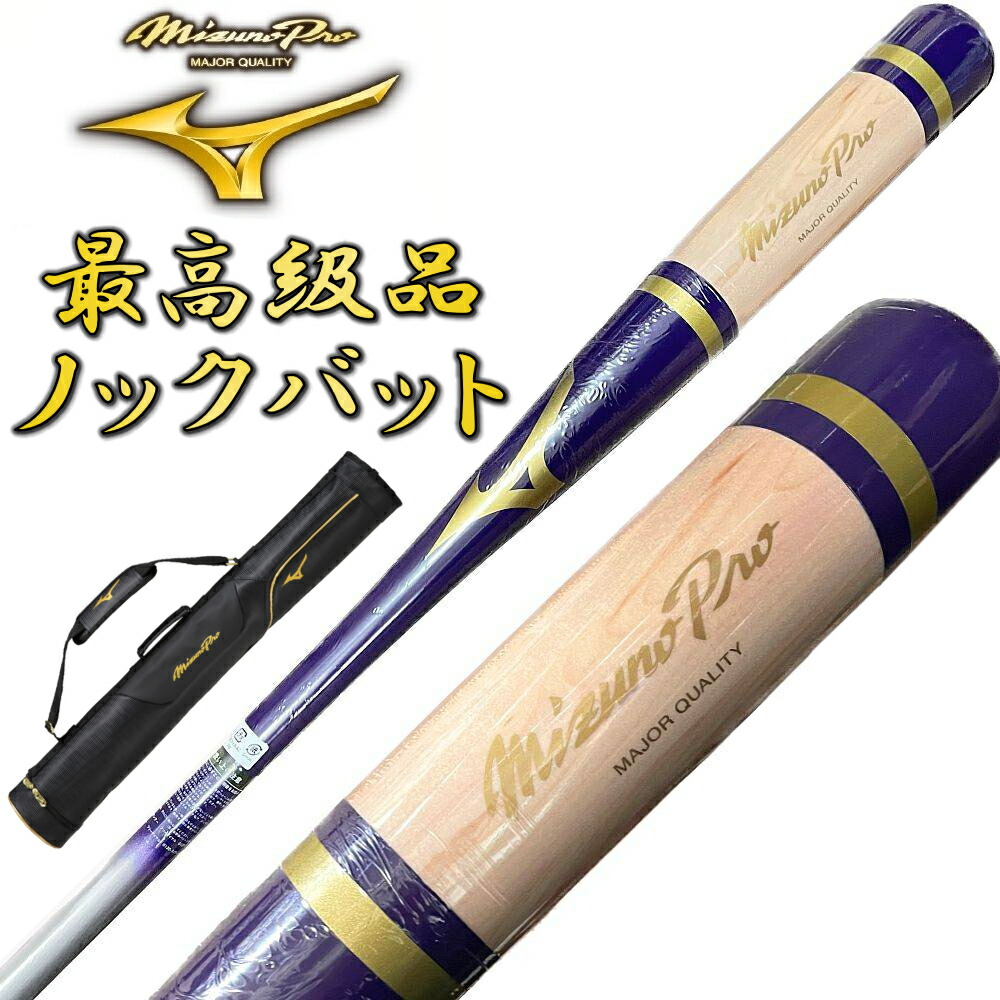 ミズノプロ バットケース 3本」の人気商品一覧 | 安い商品を通販サイト