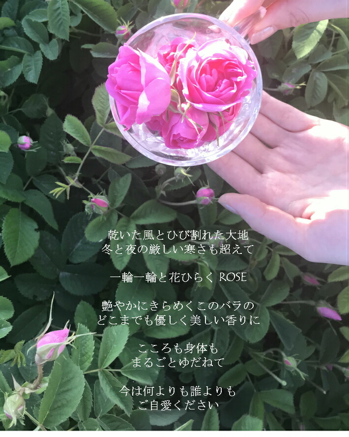 楽天市場】◇ローズ 精油 ローズオットー3％希釈 10ml ～100ml