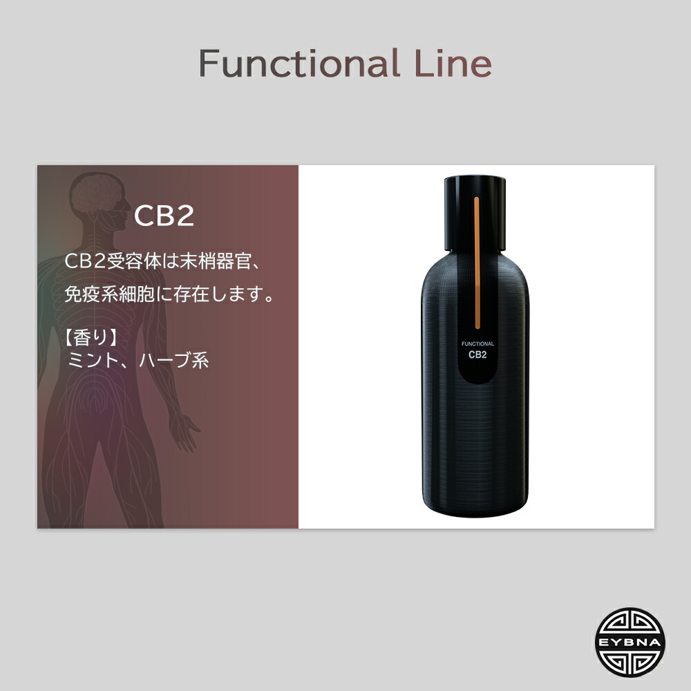 楽天市場】＼即日発送／ テルペン イスラエル EYBNA 『Functional