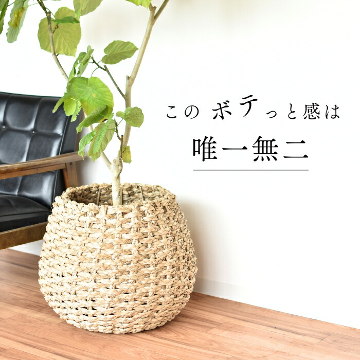 楽天市場】植木鉢 大型 観葉植物 鉢 カバー バスケット 10号 8号