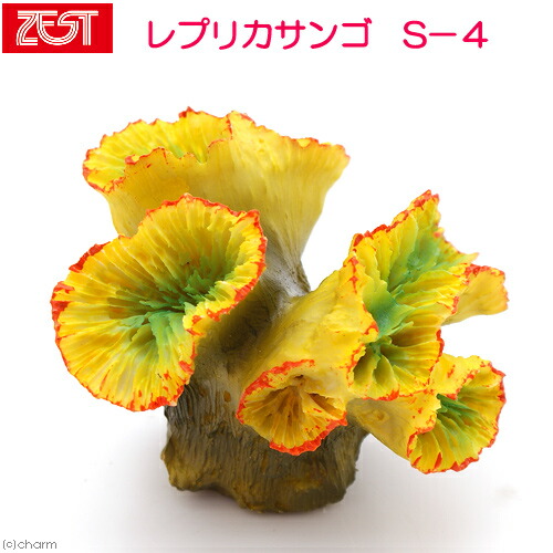 楽天市場】ゼンスイ ZEST レプリカサンゴ S−4 : plantstech楽天