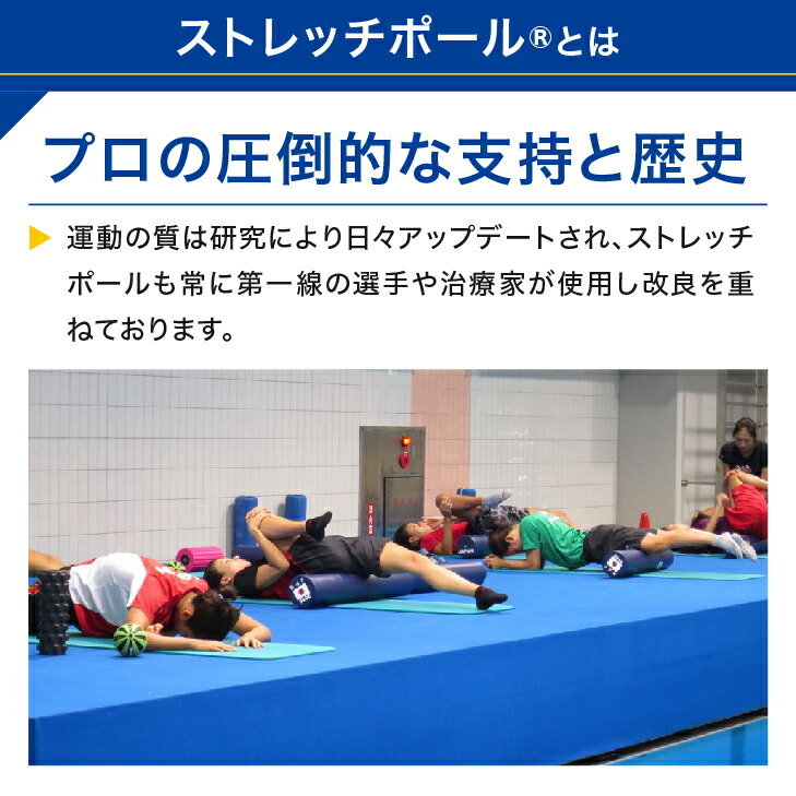 楽天市場】LPN ストレッチポールMX(ネイビー)スタートBOOK