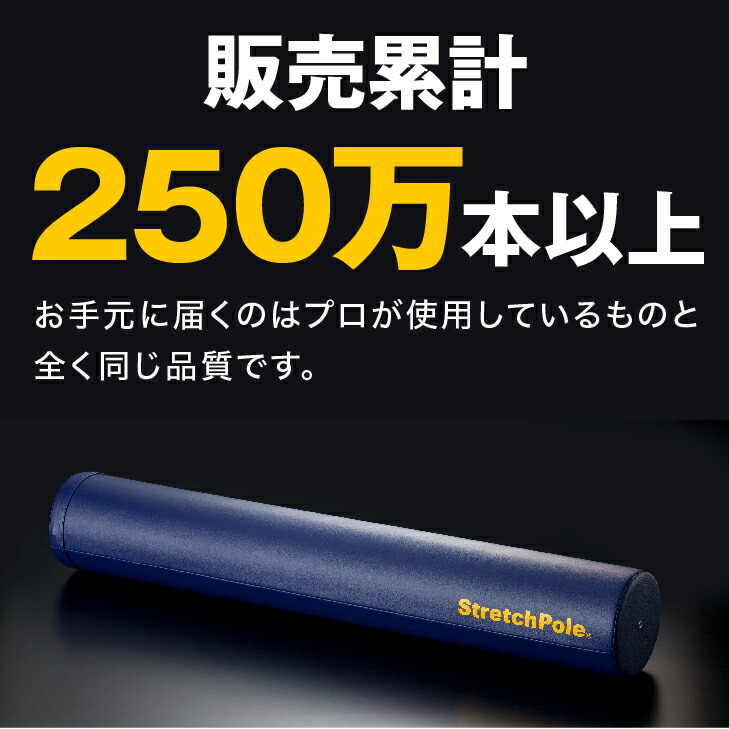 楽天市場】LPN ストレッチポールEX(ネイビー) スタートBOOK