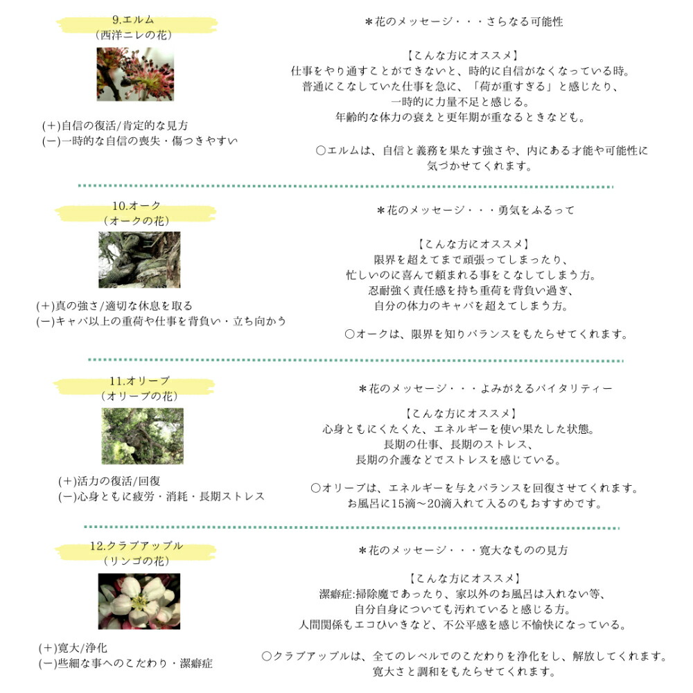 メルテンページ①インパチェンス②ラーチ③クラブアップル□ヒーリング