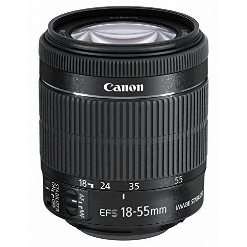 楽天市場】【中古】【1年保証】【美品】Canon EOS 80D ダブルズーム