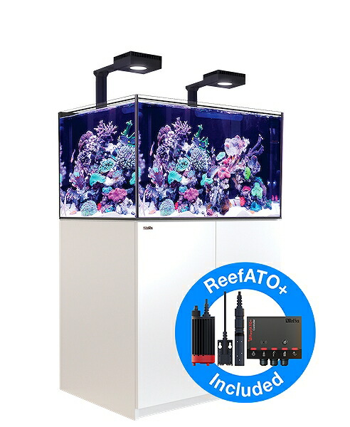 reefer sea 水槽 red」の人気商品一覧 | 安い商品を通販サイトから探す