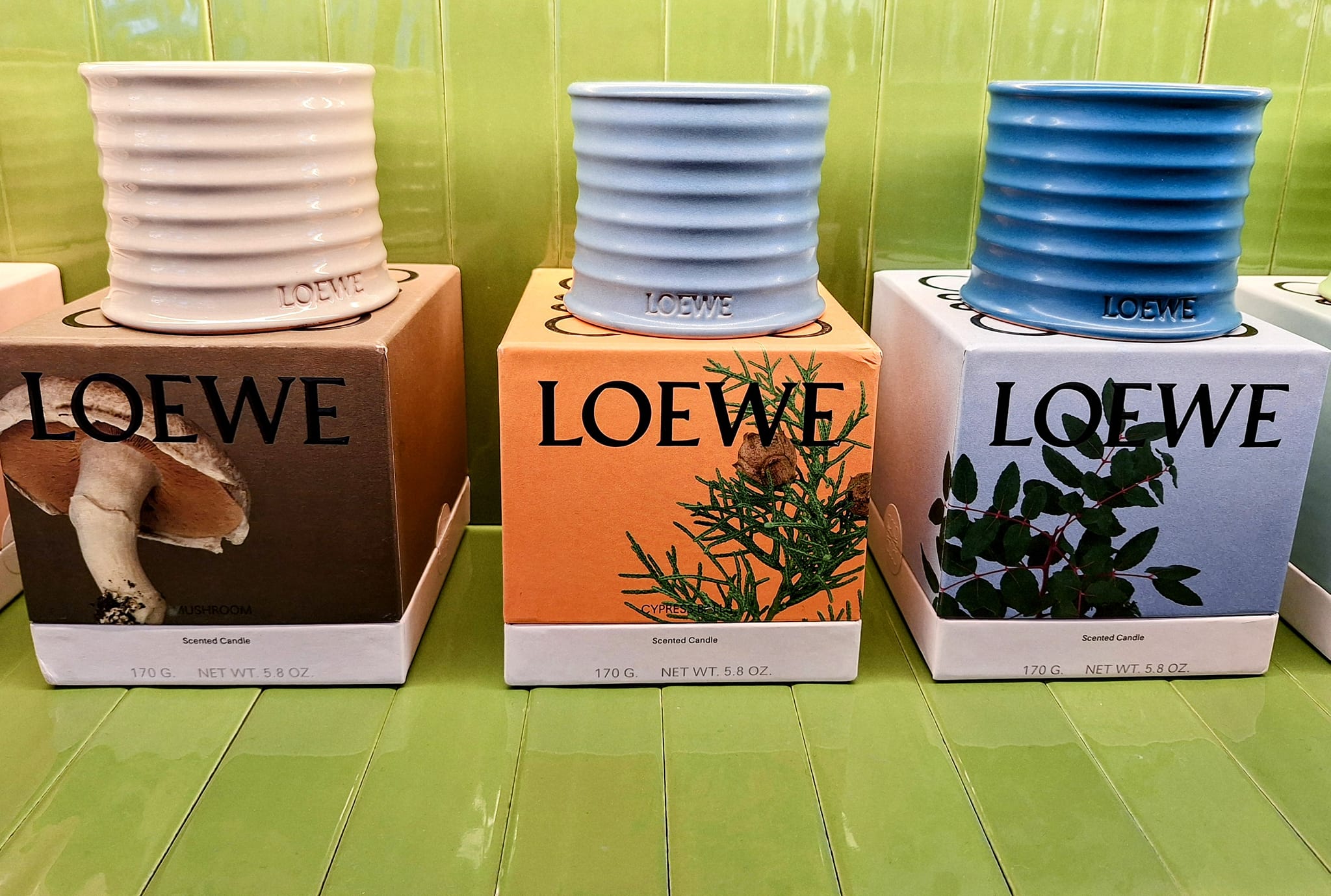 楽天市場】ロエベ キャンドル スモール 離島 別途1000円プラス : キーリン