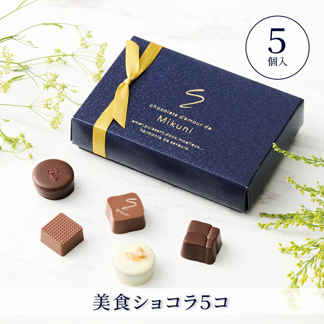 楽天市場】【A配送】ショコラ・ダムール・ドゥ・ミクニ 美食ショコラ5