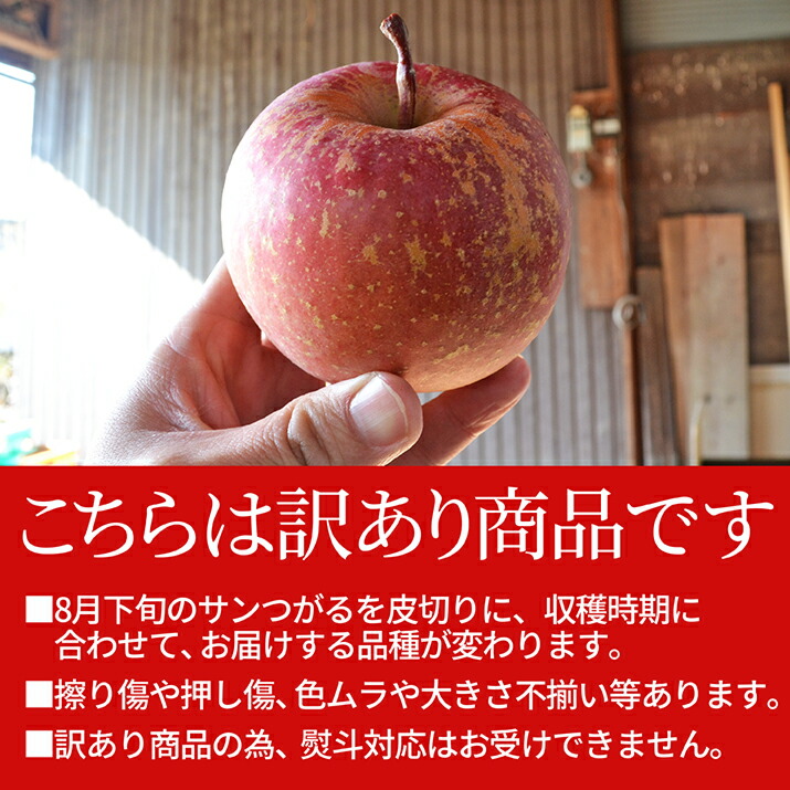 楽天市場】＼ただ今、お届け中！／ りんご 訳あり 5kg 送料無料 お試し
