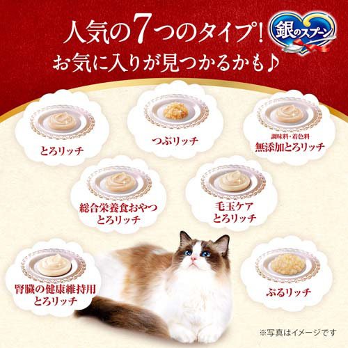 楽天24エクスプレス｜銀のスプーン おやつ にっぽんSelect とろリッチ