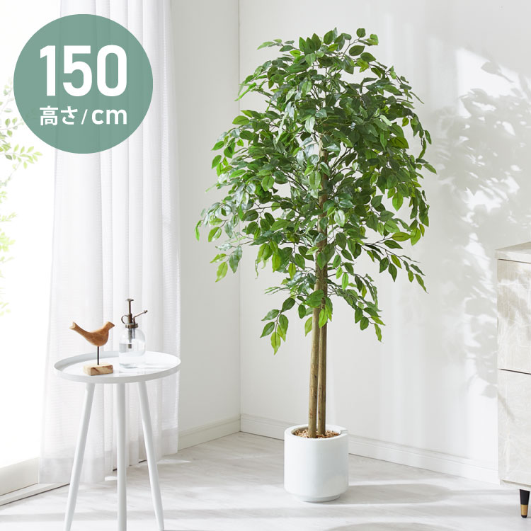 フェイクグリーン 150cm」の人気商品一覧 | 安い商品を通販サイトから