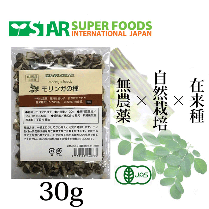 楽天市場】モリンガの種（自然栽培・在来種 ）30g モリンガ 種