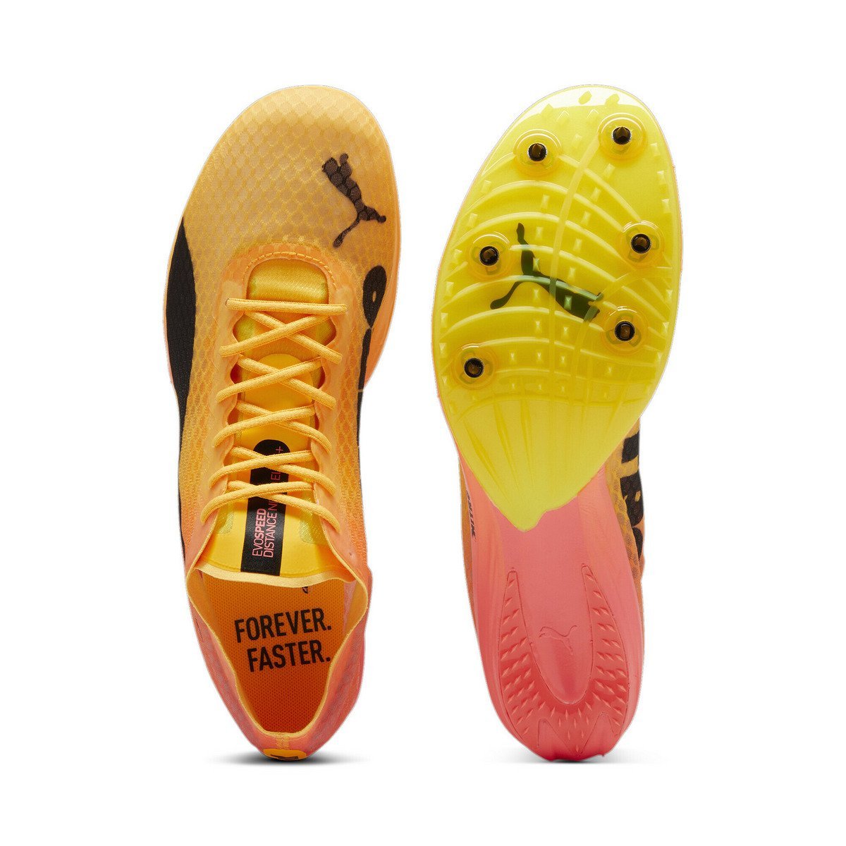 PUMA｜メンズ エヴォスピード ディスタンス ニトロ エリート+4 陸上用