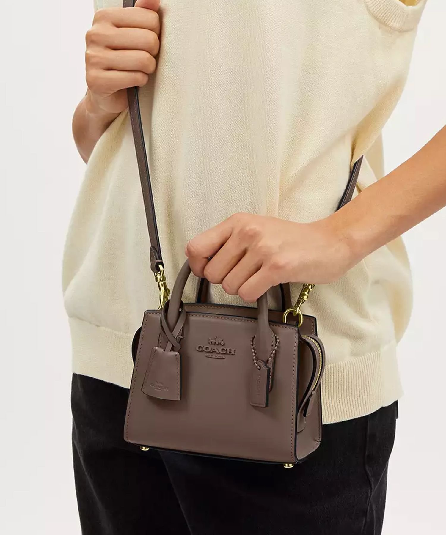 COACH OUTLET｜【公式】アンドレア ミニ キャリーオール | Rakuten